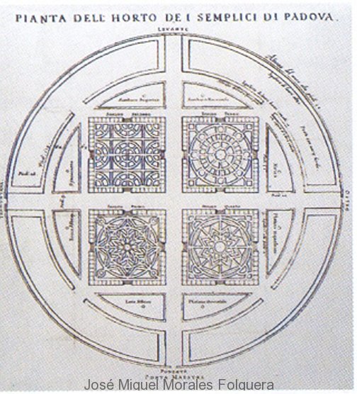 001. Planta del huerto de los Simples de Padua, 1591, G. Porro