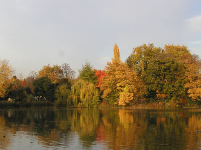 025. Lago de Battersea Park