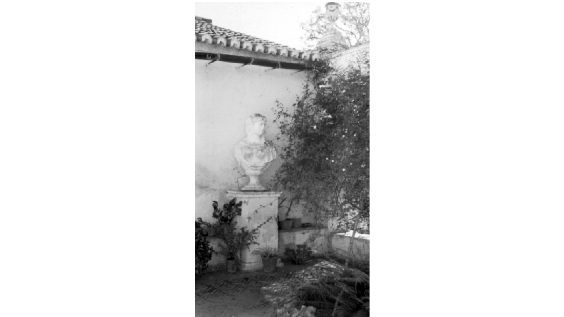 Fig. 23. Perspectiva del patio y de los jardines de la casa de Antonio Villa, 1945. Archivo Temboury. Diputación Provincial de Málaga